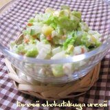 白菜のコールスロー風サラダ
